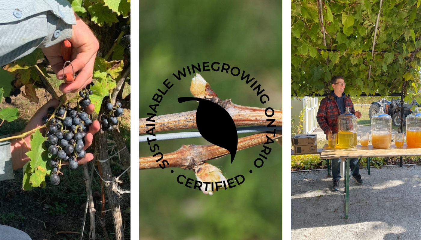 Sustainable Winegrowing Ontario