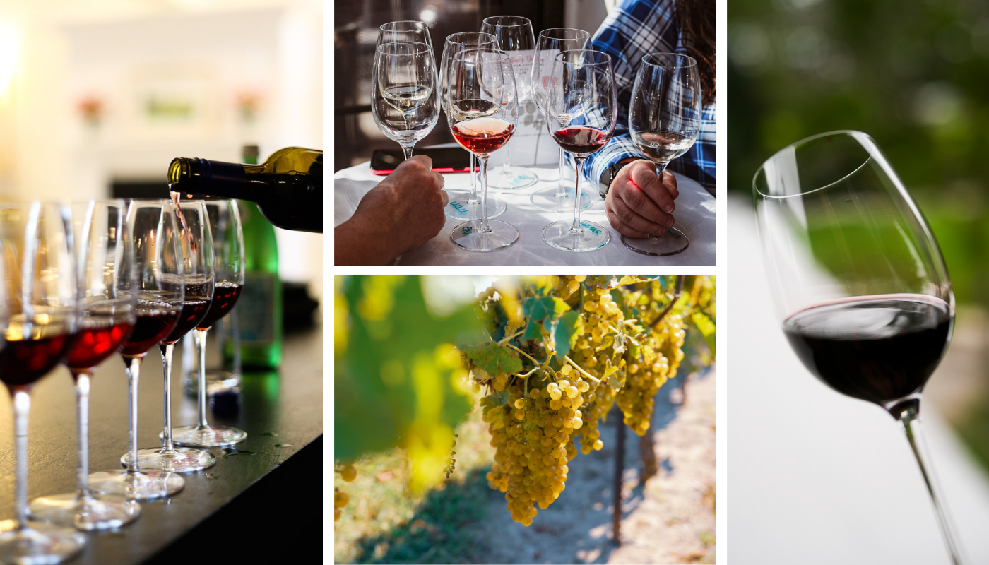 Wine Tastings 