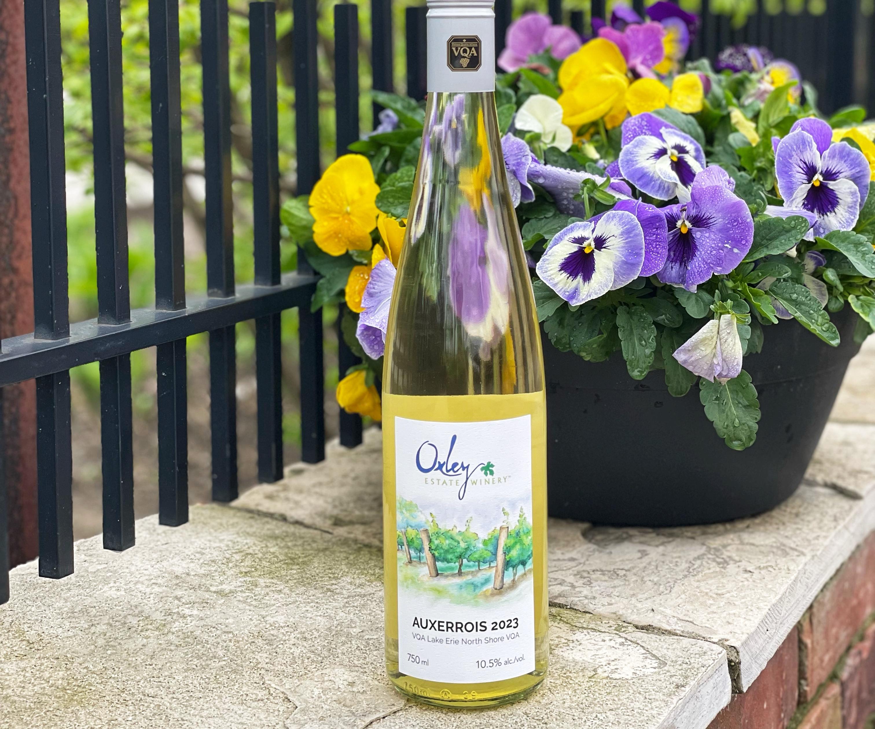 2023 Auxerrois