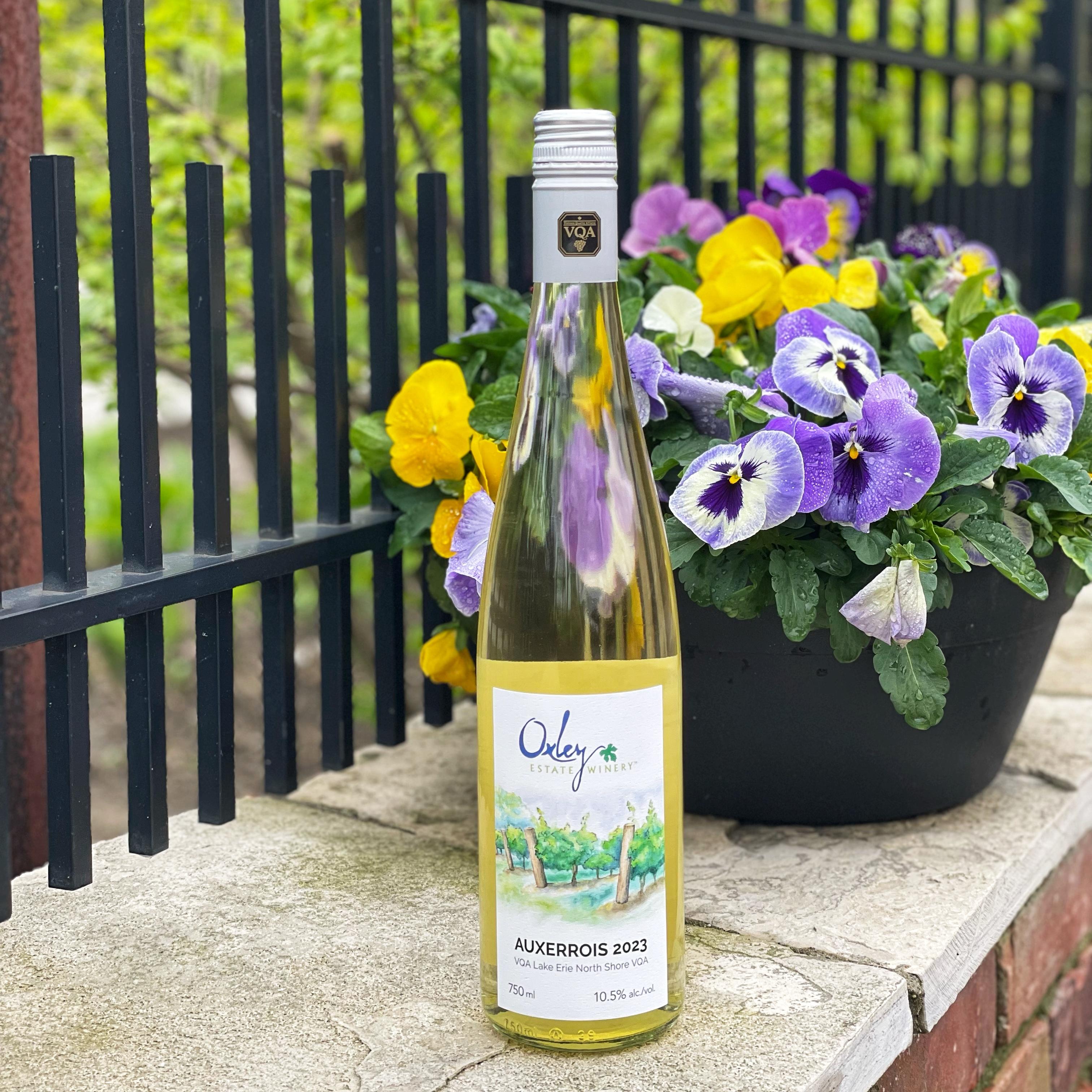 2023 Auxerrois