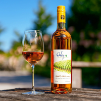 2020 Pinot Gris