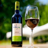 2020 Merlot 